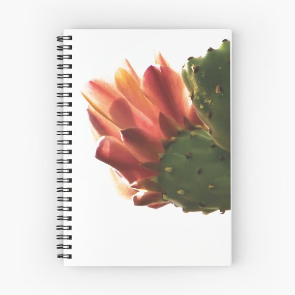 Item preview, Cactus flower designed and sold by RozHarman.