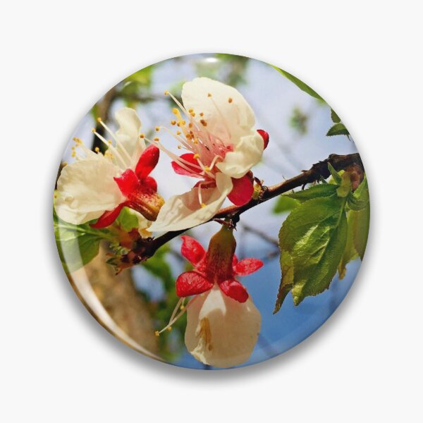 Artikelvorschau, Aprikosenblumen blühen Foto von Iritof entworfen und verkauft von iritof.