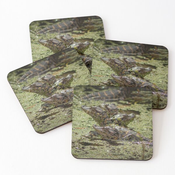 Item preview, Alligators designed and sold by AmberLeung.