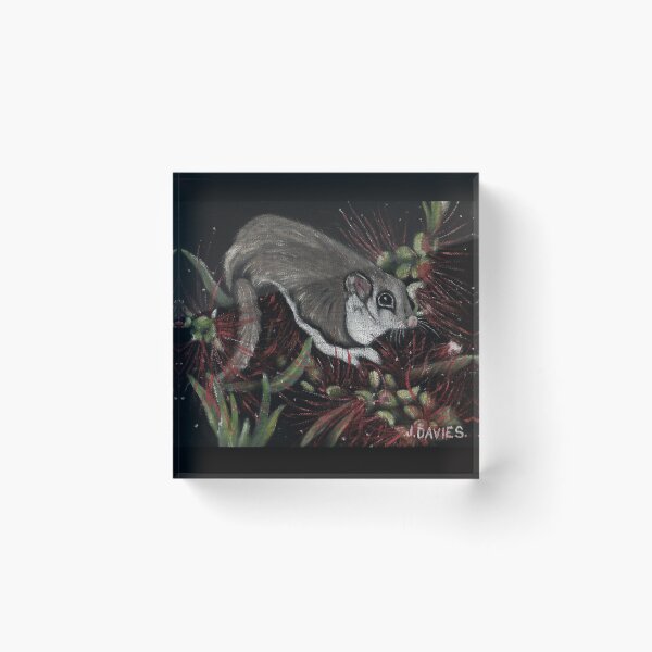 Item preview, Jan Davies Possum designed and sold by KarinaDavies.
