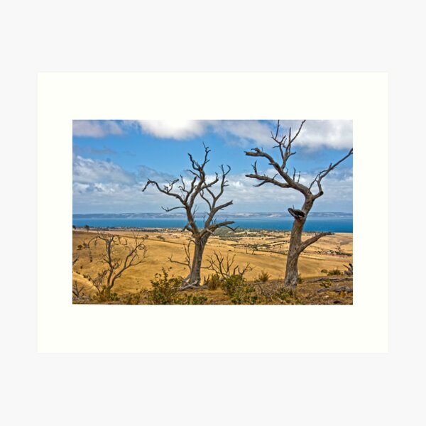 Item preview, Cape Jervois designed and sold by Robert Sturman.