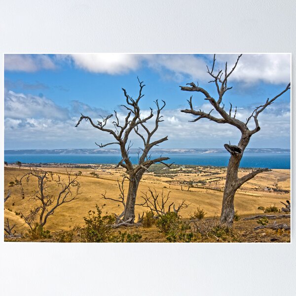 Item preview, Cape Jervois designed and sold by Robert Sturman.