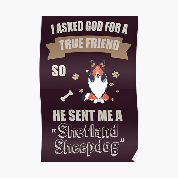 I Love My Shetland Sheepdog Gifts Poster