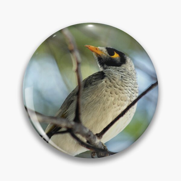 Item preview, Noisy miner designed and sold by jef braund.