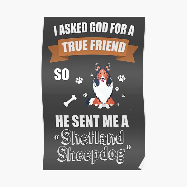 Shetland Sheepdog Puppy Dog Owner Gifts Poster