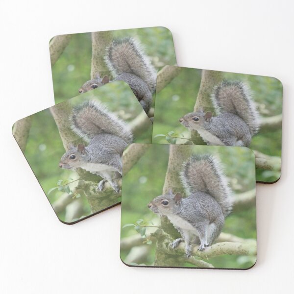 Item preview, Grey Squirrel designed and sold by chocolatemouse.