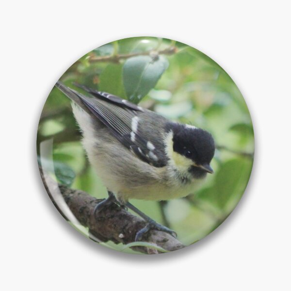 Item preview, Coal tit designed and sold by chocolatemouse.