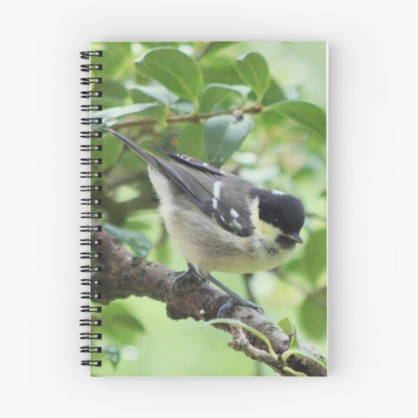Item preview, Coal tit designed and sold by chocolatemouse.