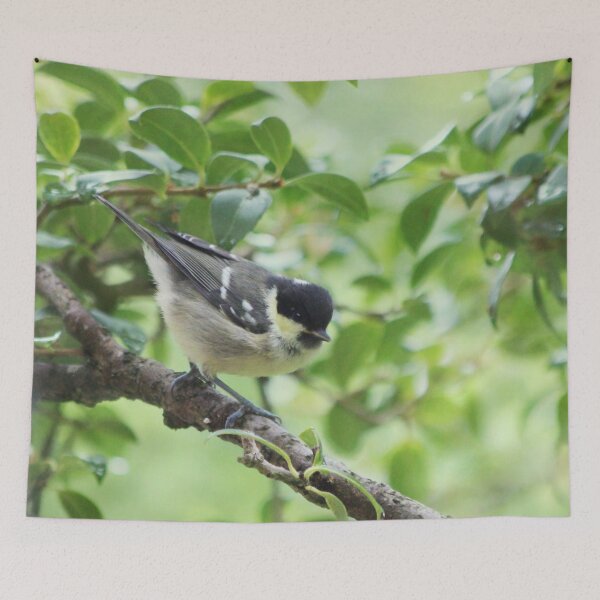 Item preview, Coal tit designed and sold by chocolatemouse.