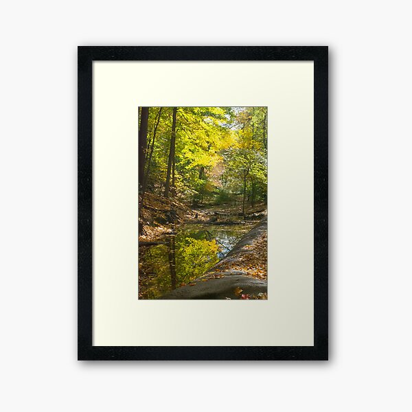 Autumn--Frick Park Pittsburgh Framed Art Print