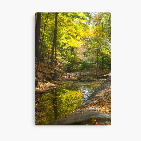 Autumn--Frick Park Pittsburgh Canvas Print