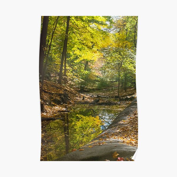 Autumn--Frick Park Pittsburgh Poster