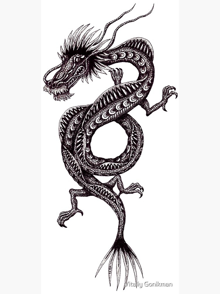 Chinese Dragon Black And White Pen Ink Drawing Poster