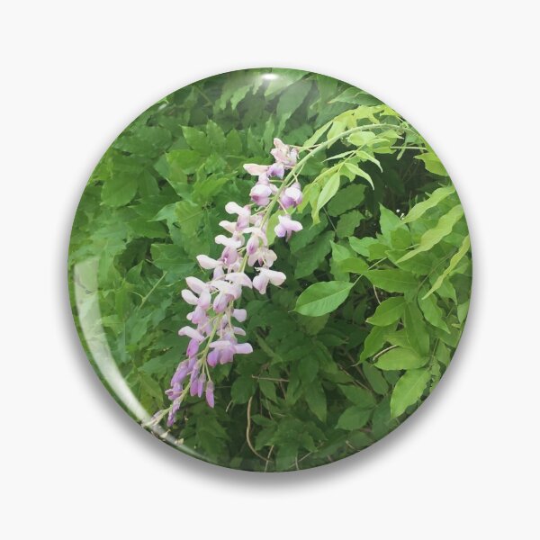 Artikelvorschau, Pink Wisteria Verschüttete Blumen von Iritof entworfen und verkauft von iritof.