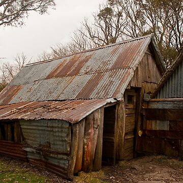 Artwork thumbnail, Wallace Hut by pennyswork