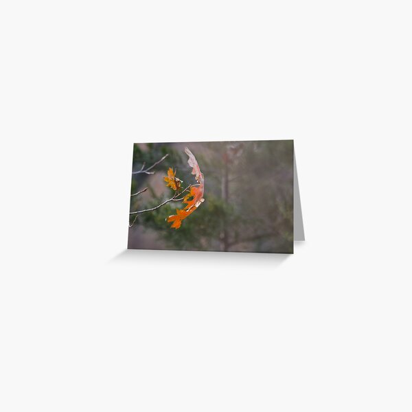 Foreground Background Greeting Card