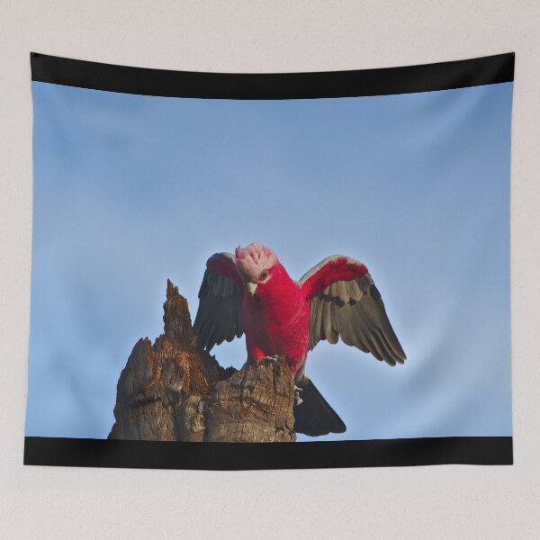 Item preview, A Pink And Grey Galah, Wings Out designed and sold by Jason Gilbert.