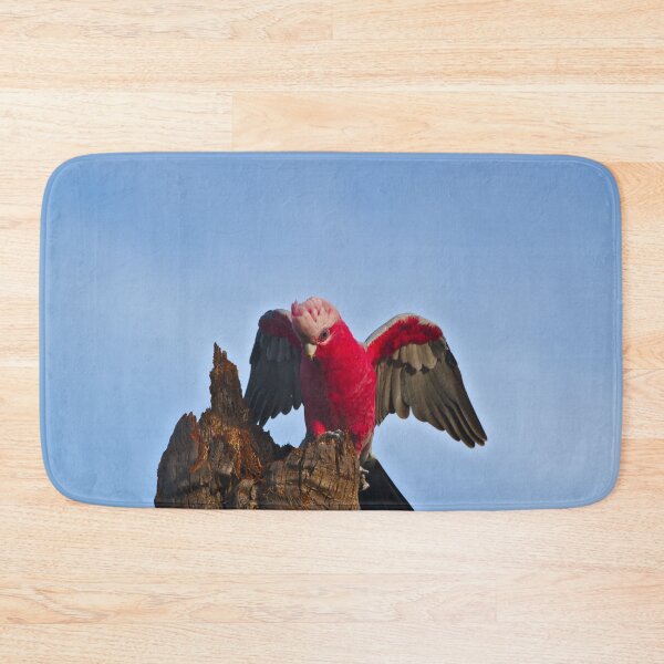 Item preview, A Pink And Grey Galah, Wings Out designed and sold by Jason Gilbert.