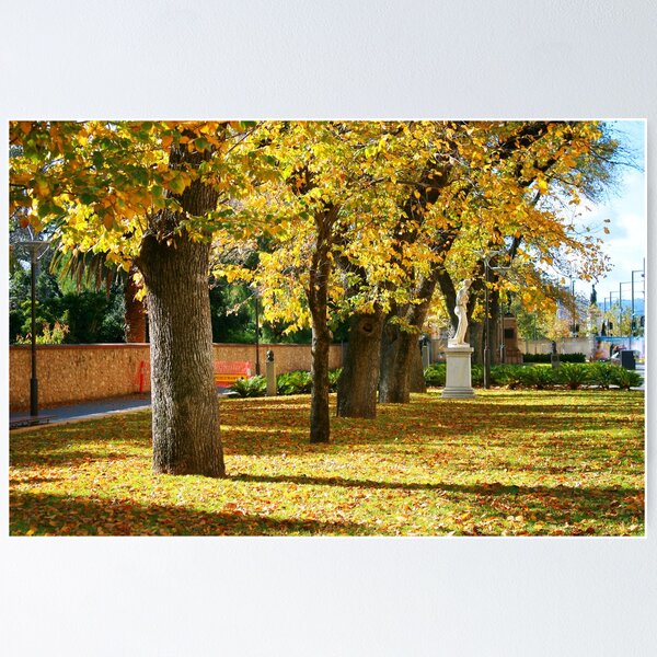 Item preview, Adaide North Terrace in Autumn designed and sold by Kelvin  Wong.