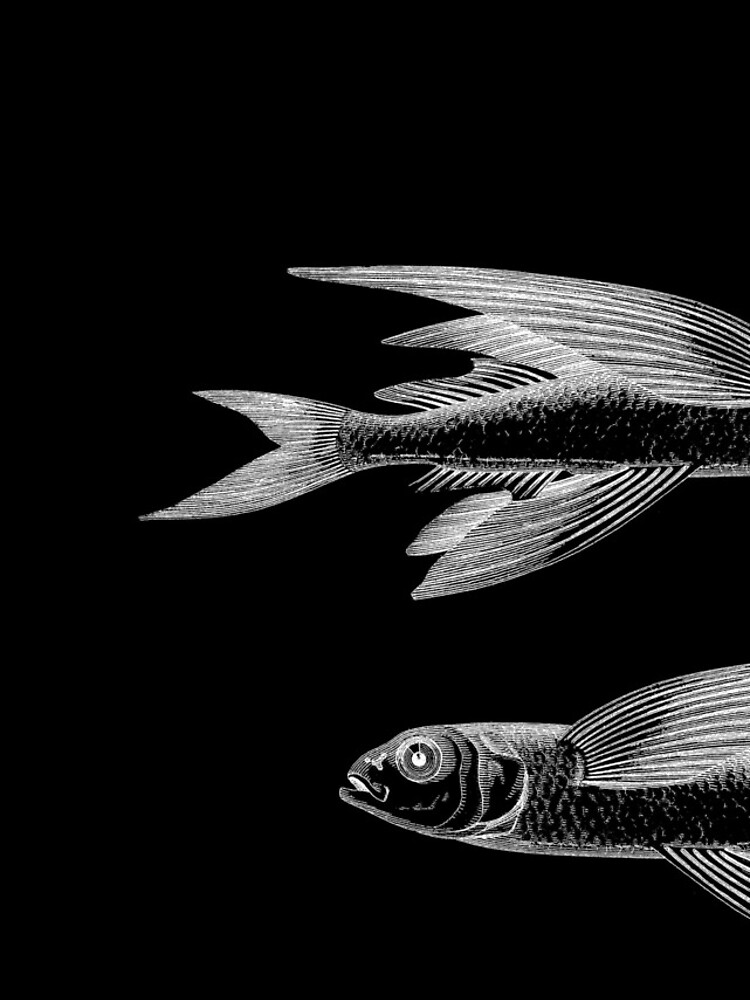 Thumbnail 4 of 4, iPhone Case, Two Flying Fish designed and sold by Modnay.