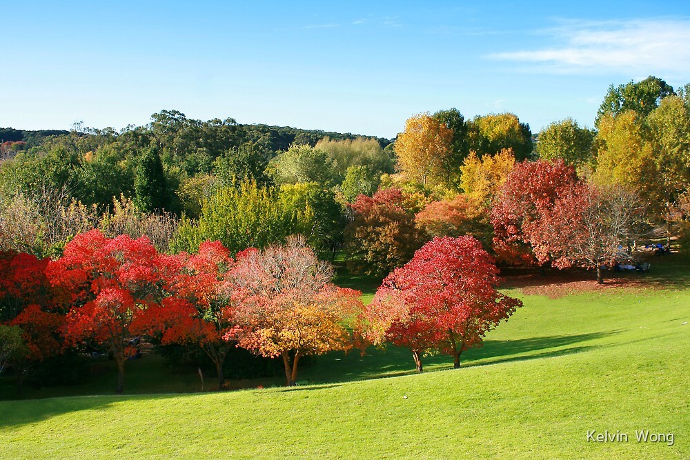 Adelaide Mount Lofty Botanic Garden In Autumn Von Kelvin Wong
