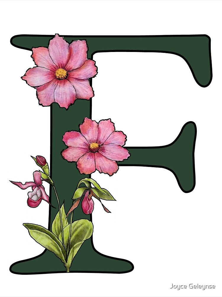 O, Letter O, Initial, Monogram, Flowers on Letter O, Name Photographic  Print for Sale by Joyce Geleynse