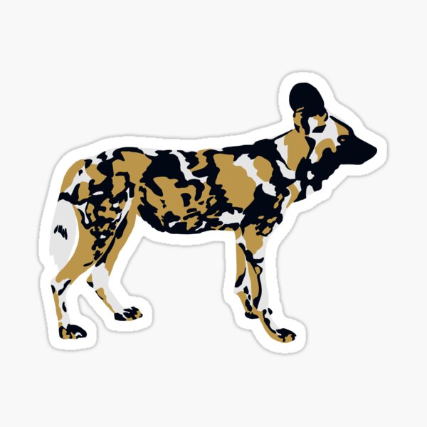 African Painted Dog Portrait Sticker