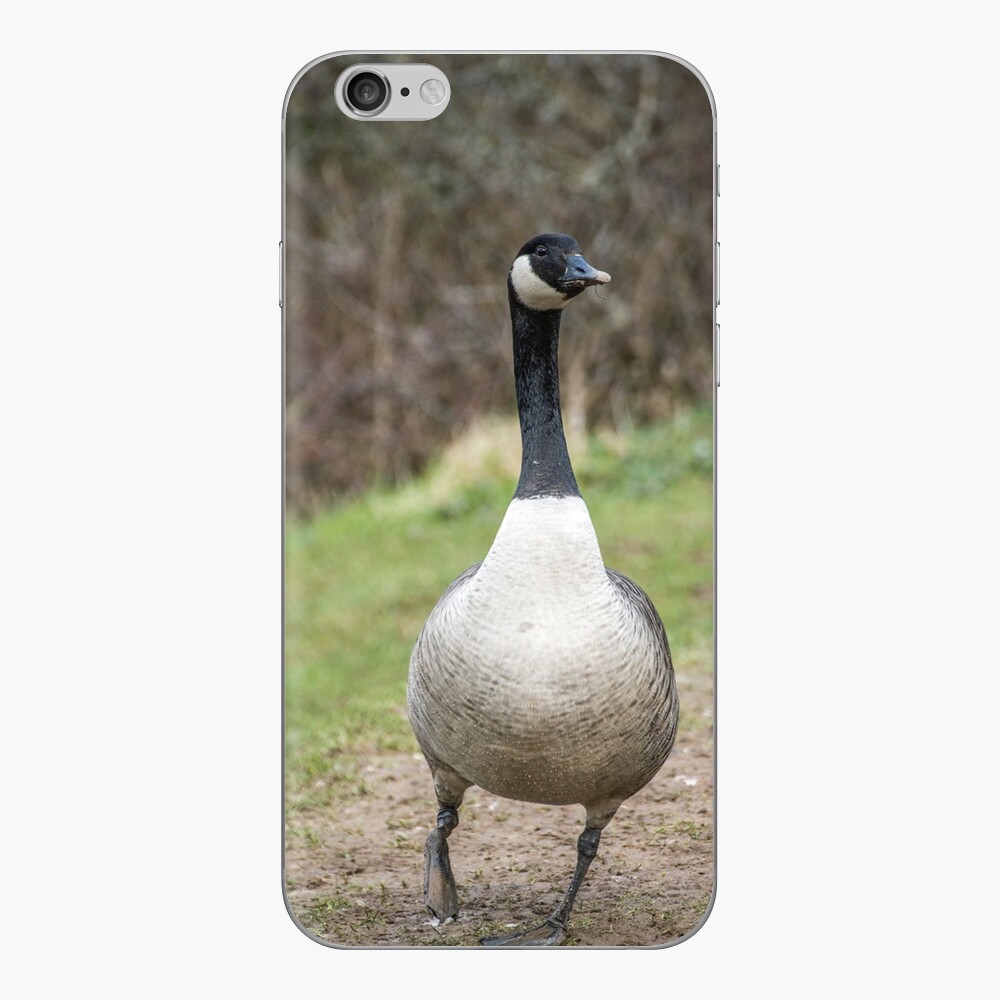 Canada goose instagram clearance wallpaper