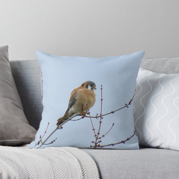 Item preview, Sparrowhawk (American Kestrel) perched designed and sold by LJSparvero.