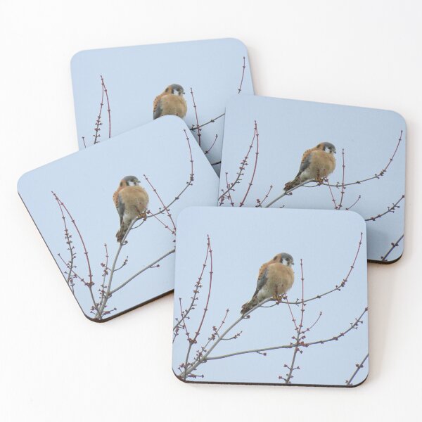 Item preview, Sparrowhawk (American Kestrel) perched designed and sold by LJSparvero.