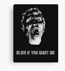 Blink Canvas Print