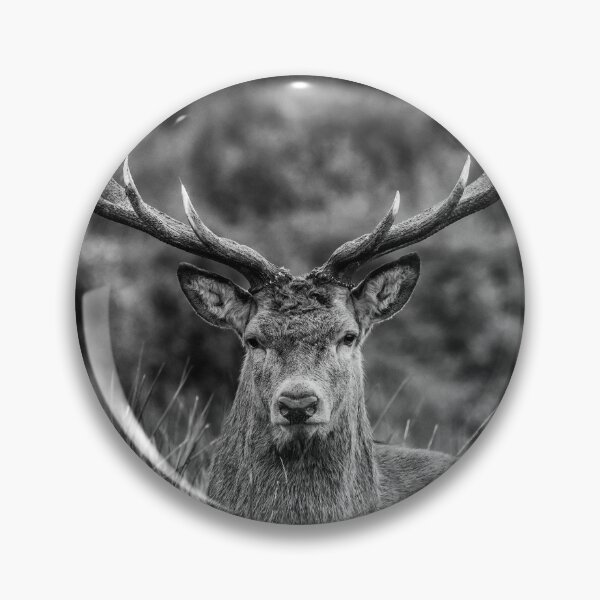 Item preview, Magnificent Stag designed and sold by iCimages.net.