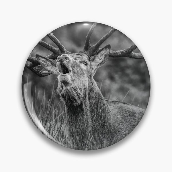 Item preview, Bellowing Stag designed and sold by iCimages.net.