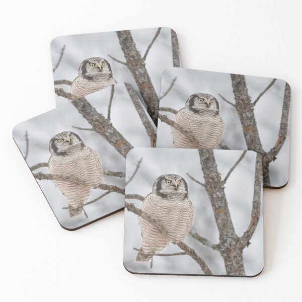 Item preview, Northern Hawk Owl designed and sold by Simpsonwildlife.