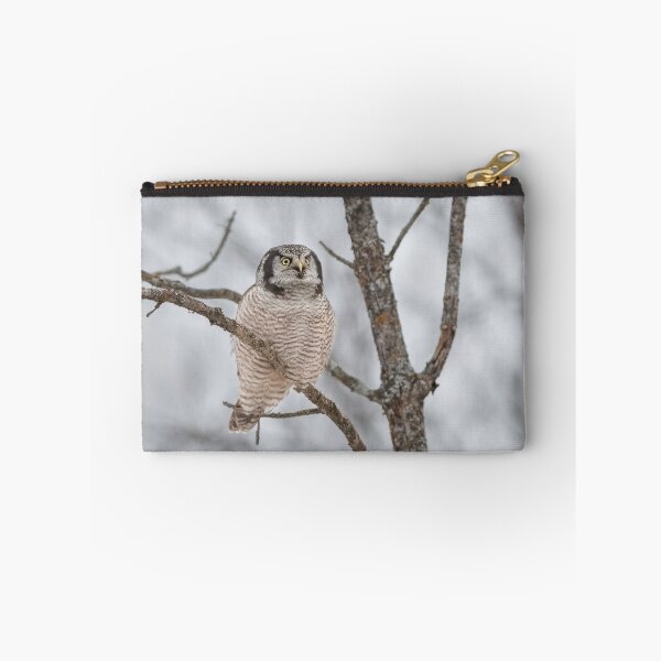 Item preview, Northern Hawk Owl designed and sold by Simpsonwildlife.