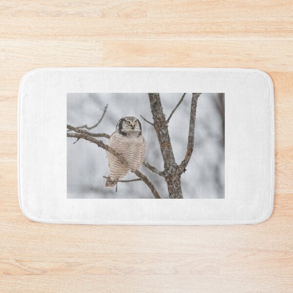 Item preview, Northern Hawk Owl designed and sold by Simpsonwildlife.