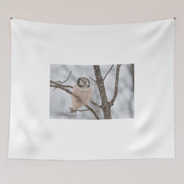 Item preview, Northern Hawk Owl designed and sold by Simpsonwildlife.