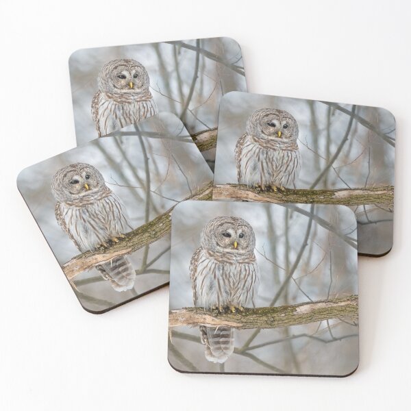 Item preview, Barred Owl designed and sold by Simpsonwildlife.