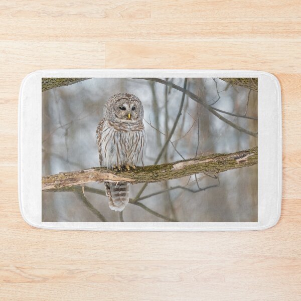 Item preview, Barred Owl designed and sold by Simpsonwildlife.