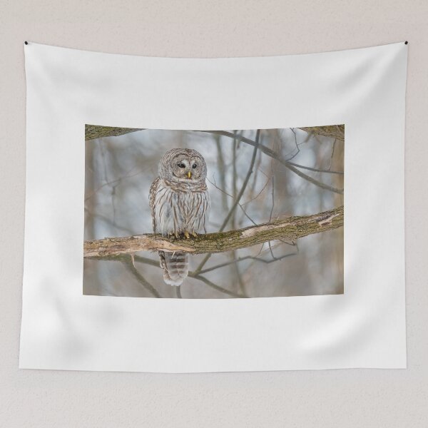 Item preview, Barred Owl designed and sold by Simpsonwildlife.