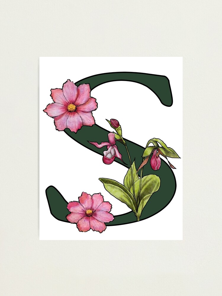 Letter S, Initial, Monogram, Alphabet Letter, Flowers, Ladyslipper 
