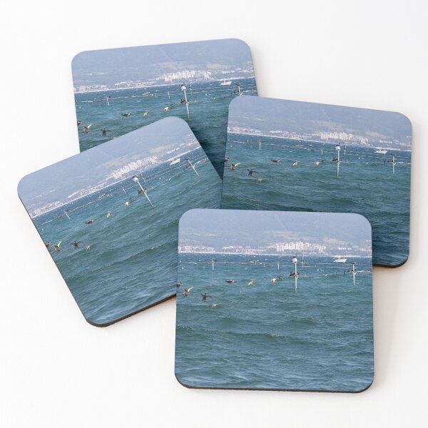 Item preview, flock of Cormorant at Black Sea Nessebar Bulgaria designed and sold by goceris.