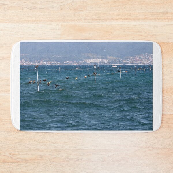 Item preview, flock of Cormorant at Black Sea Nessebar Bulgaria designed and sold by goceris.