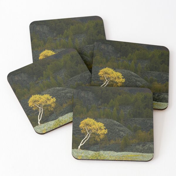 Item preview, Silver Birch in Winter near Hodge Close Slate Quarry in the Lake District National Park designed and sold by Cameranick.