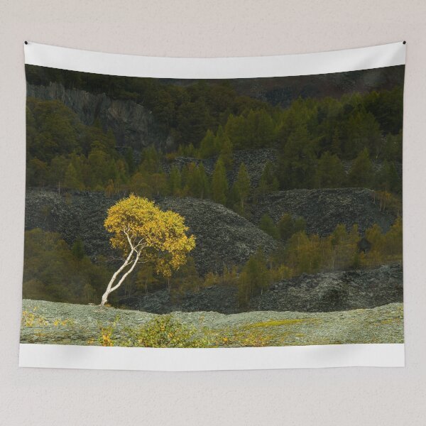 Item preview, Silver Birch in Winter near Hodge Close Slate Quarry in the Lake District National Park designed and sold by Cameranick.