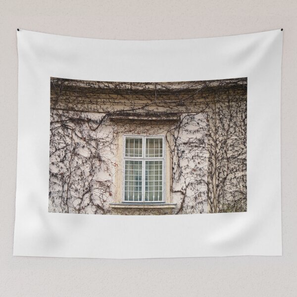 Item preview, wall with rustic window and creeper plant designed and sold by goceris.