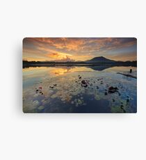 Sampaloc Lake Canvas Print