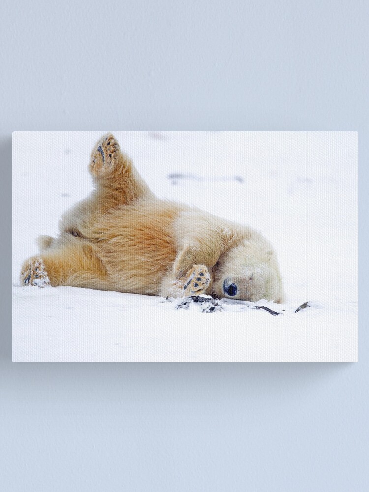 Alternate view of Rolling in the Snow Canvas Print