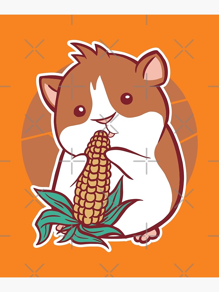 Guinea pigs and outlet corn on the cob