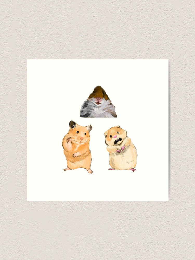 "three hamster memes" Art Print for Sale by Creativetea | Redbubble